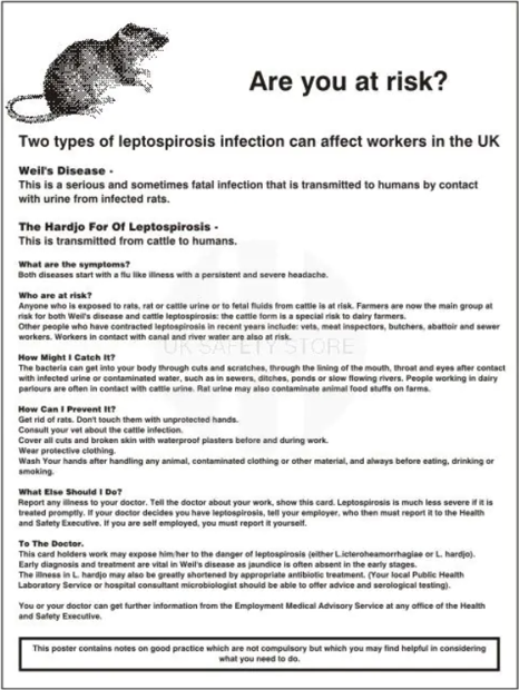 Leptospirosis Awareness