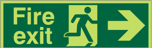 Glow-in-the-Dark Fire Exit
