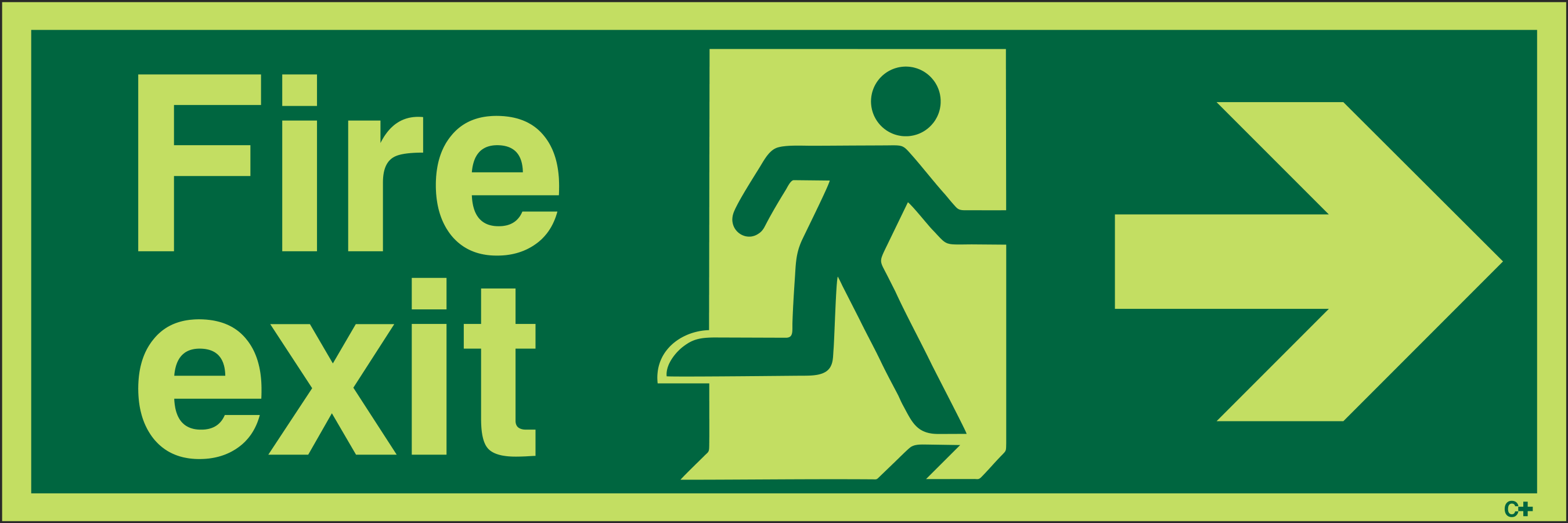 Glow-in-the-Dark Fire Exit